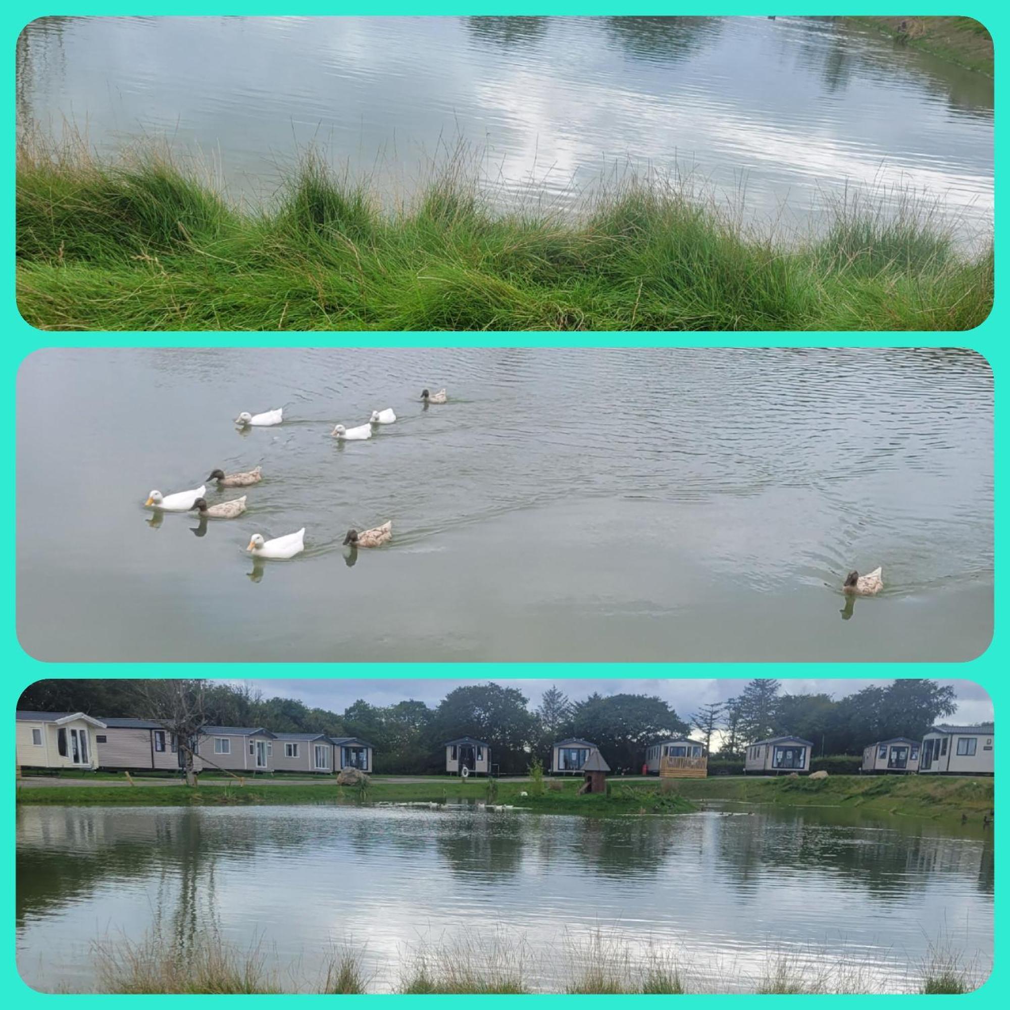 Beautiful 2 Bedroom Caravan, Holiday Park Tenby Saint Florence Exteriör bild