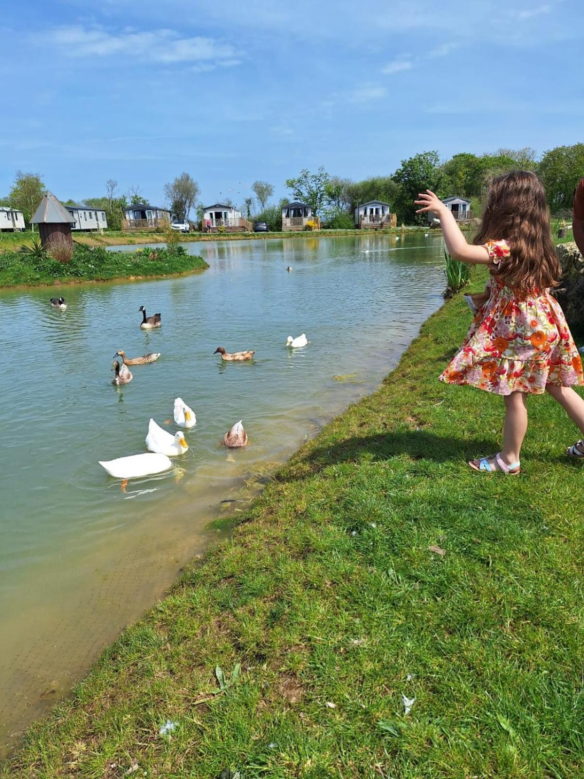 Beautiful 2 Bedroom Caravan, Holiday Park Tenby Saint Florence Exteriör bild